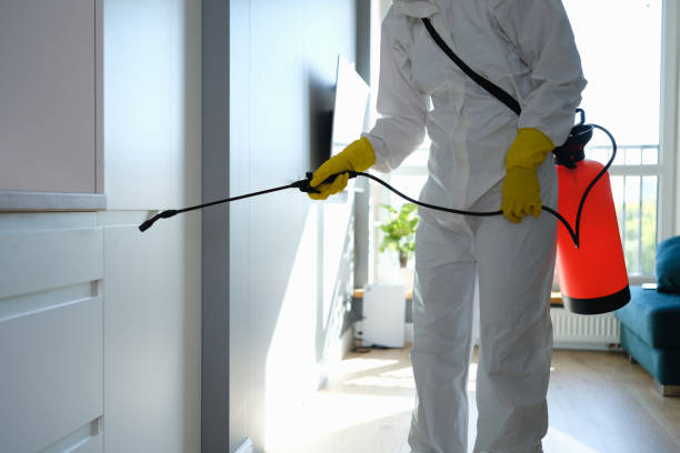 Best Mold Cleaning Services  in San Castle, FL