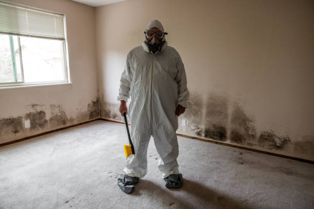 Best Mold Removal and Inspection  in San Castle, FL